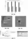 Fig. 09 - Protein-polymer hybrid biomaterials