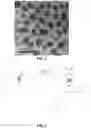 Fig. 16 - Protein-polymer hybrid biomaterials