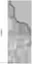 Fig. 08 - Therapeutic formulation for reduced drug side effects