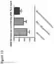 Fig. 14 - S-enantiomerically enriched compositions of beta blockers for treating amyotrophic lateral sclerosis