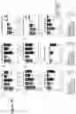 Fig. 21 - S-enantiomerically enriched compositions of beta blockers for treating amyotrophic lateral sclerosis