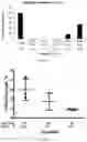 Fig. 03 - EGCG-Palmitate Compositions and Methods of Use Thereof