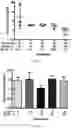 Fig. 04 - EGCG-Palmitate Compositions and Methods of Use Thereof