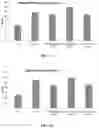 Fig. 02 - COMPOSITIONS AND METHODS FOR THE TREATMENT OR PREVENTION OF PULMONARY HYPERTENSION