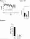 Fig. 04 - Methods and Compositions for Treating Aging-Associated Impairments Using CCR3-Inhibitors