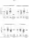 Fig. 07 - COMBINATIONS OF AGENTS TO TREAT HEMATOLOGICAL MALIGNANCIES