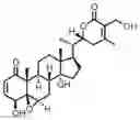 Fig. 01 - COMPOSITIONS AND METHODS FOR MODULATING PPP2R1A