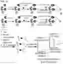 Fig. 04 - COMPOSITIONS AND METHODS FOR MODULATING PPP2R1A