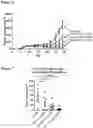 Fig. 07 - Combination therapies using caspase-1 dependent anticancer agents and PGE2 antagonists