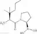Fig. 158 - Combination therapies using caspase-1 dependent anticancer agents and PGE2 antagonists