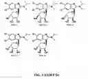 Fig. 05 - Maribavir isomers, compositions, methods of making and methods of using