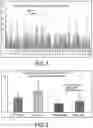 Fig. 06 - METABOLIC SUPPLEMENT FORMULATION AND METHODS OF USE FOR TREATING DEPRESSION AND ANXIETY