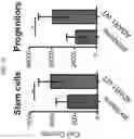 Fig. 04 - Anticancer compositions and methods for making and using them