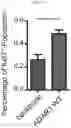 Fig. 06 - Anticancer compositions and methods for making and using them