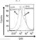 Fig. 07 - Anticancer compositions and methods for making and using them