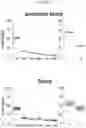 Fig. 110 - Anticancer compositions and methods for making and using them