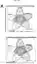 Fig. 115 - Anticancer compositions and methods for making and using them