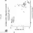 Fig. 124 - Anticancer compositions and methods for making and using them