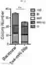 Fig. 24 - Anticancer compositions and methods for making and using them