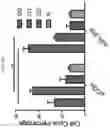 Fig. 28 - Anticancer compositions and methods for making and using them