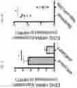 Fig. 31 - Anticancer compositions and methods for making and using them