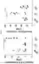 Fig. 41 - Anticancer compositions and methods for making and using them