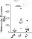 Fig. 43 - Anticancer compositions and methods for making and using them
