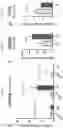 Fig. 48 - Anticancer compositions and methods for making and using them