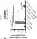 Fig. 49 - Anticancer compositions and methods for making and using them