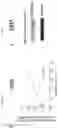 Fig. 65 - Anticancer compositions and methods for making and using them