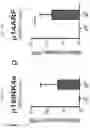 Fig. 83 - Anticancer compositions and methods for making and using them