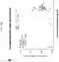 Fig. 96 - Anticancer compositions and methods for making and using them