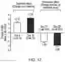 Fig. 12 - COMPOSITIONS FOR AND METHODS OF TREATING ACID-BASE DISORDERS