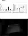Fig. 07 - Treatment for periodontitis