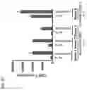 Fig. 14 - Immunotherapy methods and compositions involving tryptophan metabolic pathway modulators