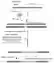 Fig. 01 - SUPPRESSION OF CYTOKINE RELEASE SYNDROME IN CHIMERIC ANTIGEN RECEPTOR CELL THERAPY