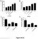 Fig. 07 - Compositions and methods for treating a clinical condition through the use of hematopoietic stem cells