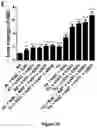 Fig. 09 - Compositions and methods for treating a clinical condition through the use of hematopoietic stem cells