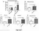 Fig. 13 - Compositions and methods for treating a clinical condition through the use of hematopoietic stem cells