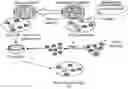 Fig. 01 - METHODS AND COMPOSITIONS FOR TREATING MITOCHONDRIAL DISEASE OR DISORDERS AND HETEROPLASMY