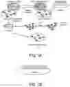 Fig. 02 - METHODS AND COMPOSITIONS FOR TREATING MITOCHONDRIAL DISEASE OR DISORDERS AND HETEROPLASMY
