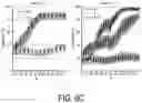 Fig. 23 - METHODS AND COMPOSITIONS FOR TREATING MITOCHONDRIAL DISEASE OR DISORDERS AND HETEROPLASMY
