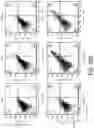 Fig. 43 - METHODS AND COMPOSITIONS FOR TREATING MITOCHONDRIAL DISEASE OR DISORDERS AND HETEROPLASMY