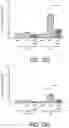 Fig. 47 - METHODS AND COMPOSITIONS FOR TREATING MITOCHONDRIAL DISEASE OR DISORDERS AND HETEROPLASMY