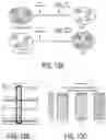 Fig. 52 - METHODS AND COMPOSITIONS FOR TREATING MITOCHONDRIAL DISEASE OR DISORDERS AND HETEROPLASMY