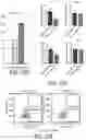 Fig. 68 - METHODS AND COMPOSITIONS FOR TREATING MITOCHONDRIAL DISEASE OR DISORDERS AND HETEROPLASMY