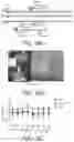 Fig. 69 - METHODS AND COMPOSITIONS FOR TREATING MITOCHONDRIAL DISEASE OR DISORDERS AND HETEROPLASMY