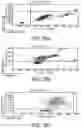 Fig. 77 - METHODS AND COMPOSITIONS FOR TREATING MITOCHONDRIAL DISEASE OR DISORDERS AND HETEROPLASMY