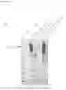 Fig. 10 - METHODS OF TREATING GRAFT VERSUS HOST DISEASE (GVHD) OR EPIDERMOLYSIS BULLOSA (EB) WITH EXOSOMES