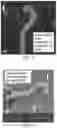 Fig. 04 - Tissue constructs including pancreas derived microvessel fragments and related methods